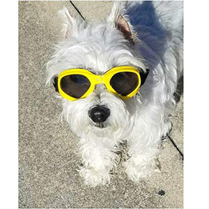 XUNKE Occhiali da Sole e protettivi per Cani di Piccoli Taglia, Anti Giallo