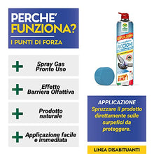 Carica l&#39;immagine nel visualizzatore di Gallery, Albagarden - Repellente Piccioni - Effetto IMMEDIATO - Barriera Vegetale Olfattiva Anti Piccioni E Gabbiani - Disabituante E Dissuasore Scaccia Uccelli - Spray Gas 750 ml