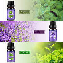Carica l&#39;immagine nel visualizzatore di Gallery, Oli Essenziali per Diffusori,Aromaterapia Puri 100%,Naturali... - Ilgrandebazar