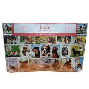 Dogs of the World-Timbro, collezione, Souvenir con animali, cane... - Ilgrandebazar