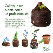 Carica l'immagine nel visualizzatore di Gallery, OwnGrown Compresse Terriccio Di Cocco Con Sostanze Nutritive - 40 Pezzi, senza Ripicchettare e senza Torba - Terriccio Fibra Di Cocco Per Orchidee, Bonsai, Piante grasse, Verdi, Da Interno
