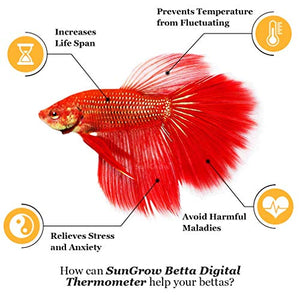 SunGrow - Termometro Digitale Betta