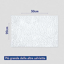 Carica l'immagine nel visualizzatore di Gallery, AMORE MIO | 110 Salviette al Talco Maxi Formato Extra Large per Il Manto di Cani, Gatti e Animali Domestici, Disinfettanti e Igienizzanti, 30x20 cm - 1 Confezione da 110 Salviettine