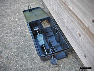 The Big Cheese STV179 Cassetta Esche Ratti e Topi, Nero, 7.2x12.4x22.8 cm
