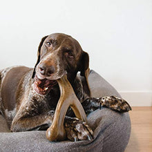 Carica l&#39;immagine nel visualizzatore di Gallery, Benebone Real Bacon Durable Wishbone cane masticare giocattolo per Giant