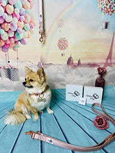 Carica l'immagine nel visualizzatore di Gallery, Marca deluxe per cani/elegante &amp; di alta qualità/da incidere. oro rosa.