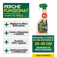 Carica l'immagine nel visualizzatore di Gallery, Albagarden - Olio Di Neem Per Piante 1 Litro - Naturale Concentrato Contro Insetti Funghi Cocciniglia, Acari Afidi Pulci, Cimici, Pidocchi, Vespe E Calabroni - Spray Pronto Uso