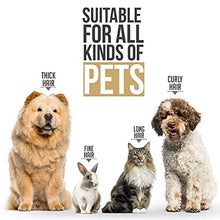 Carica l'immagine nel visualizzatore di Gallery, PETKING PPREMIUM Tosatrice per Cani Professionale Kit Toelettatura Cani...