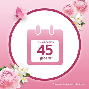 Airwick Armonia Istantanea, Confezione con 1 Diffusore di Oli Essenziali e 1 Ricarica alla Fragranza di Peonia e Gelsomino Riequilibranti