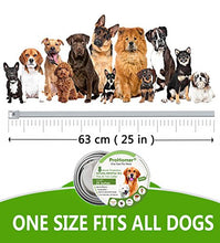 Carica l&#39;immagine nel visualizzatore di Gallery, PROZADA [2 PCS] Collare Antipulci Cane, Antiparassitario per Cani Tutti... - Ilgrandebazar
