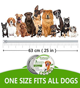 PROZADA [2 PCS] Collare Antipulci Cane, Antiparassitario per Cani Tutti... - Ilgrandebazar