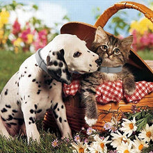 Carica l&#39;immagine nel visualizzatore di Gallery, NINGBO CHANSON Collare Antipulci per Cane e Gatto, 60cm Collare... - Ilgrandebazar