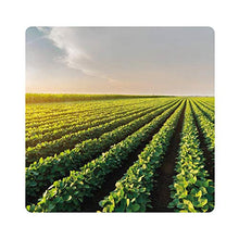 Carica l&#39;immagine nel visualizzatore di Gallery, Albagarden - Piante Frutta Naturale Bio Polti20 Biologico Bordolese Rame + Boro Orto Vite Peronospora Oidio Verderame Solfato Ossicloruro x 1 kg