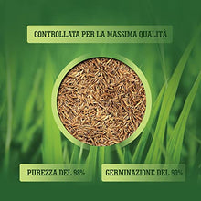 Carica l&#39;immagine nel visualizzatore di Gallery, LERAVA CHAMPION - semi prato resistente - sementi prato resistenti alla siccità - seme prato poca acqua - calpestabile - adatti a tutti i luoghi e tipi di terreno - 30m²