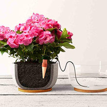 Carica l&#39;immagine nel visualizzatore di Gallery, Blumat distributore d&#39; Acqua per Le Piante (6 Pezzi) 6 pezzi