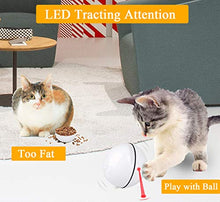 Carica l&#39;immagine nel visualizzatore di Gallery, Giocattolo interattivo per gatti, con funzione timer LED ricaricabile...