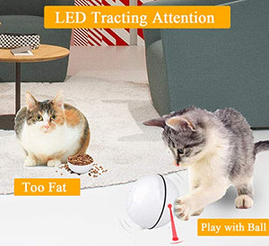Giocattolo interattivo per gatti, con funzione timer LED ricaricabile...