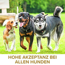 Carica l&#39;immagine nel visualizzatore di Gallery, Polvere di cozze dalle Labbra Verdi per Cani 500g - Sostiene Le funzioni...