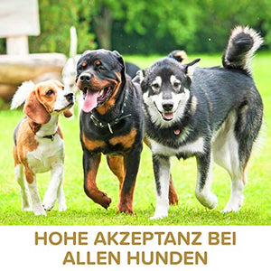Polvere di cozze dalle Labbra Verdi per Cani 500g - Sostiene Le funzioni...