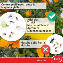Carica l'immagine nel visualizzatore di Gallery, 2