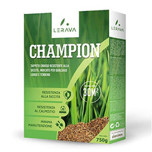 Carica l&#39;immagine nel visualizzatore di Gallery, LERAVA CHAMPION - semi prato resistente - sementi prato resistenti alla siccità - seme prato poca acqua - calpestabile - adatti a tutti i luoghi e tipi di terreno - 30m²