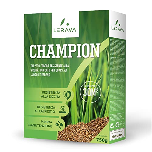 LERAVA CHAMPION - semi prato resistente - sementi prato resistenti alla siccità - seme prato poca acqua - calpestabile - adatti a tutti i luoghi e tipi di terreno - 30m²