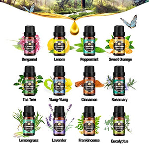 Oli Essenziali per Diffusori, Set di olio essenziale 12 x 10 ml, Essenze Naturali olio essenziale,Tea Tree Lavanda Rosmarino Eucalipto Ylang-ylang Incenso Citronella Arancia Menta Limone Bergamotto
