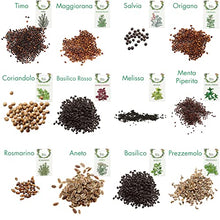 Carica l'immagine nel visualizzatore di Gallery, Owngrown - Set Di Semi Di Erbe Semi Da Piantare - 12 Erbe Per Giardino E Cucina . Semi Di Prezzemolo, Erbe Di Provenza, Erbe Italiane, Semi Di Coriandolo, Semi Di Aneto