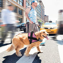 Carica l&#39;immagine nel visualizzatore di Gallery, Imbracatura per Cani Traspirante Senza M: collo 16,5 &quot;-21&quot; (42-53 cm), Rosa