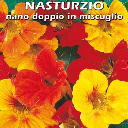 NASTURZIO NANO DOPPIO IN MISCUGLIO (Tropaeolum manus) - SEMI - Ilgrandebazar