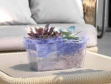 Carica l&#39;immagine nel visualizzatore di Gallery, Teraplast Coimbra 25cm Fioriera, Trasparente, 25 cm 25 cm, Trasparente - Ilgrandebazar