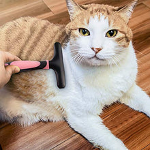 Carica l&#39;immagine nel visualizzatore di Gallery, Brands Set 2 Pezzi Spazzola per Animali Domestici, Pettine Gatto Pelo Lungo,...