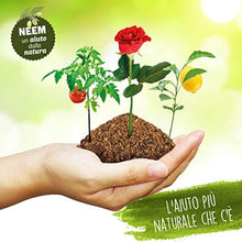 Carica l'immagine nel visualizzatore di Gallery, 3