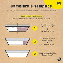 Carica l&#39;immagine nel visualizzatore di Gallery, Animal House Toilet Time - Lettiera in Cristalli di Silicio per Gatti - Antistatica e Sicura - Priva di Polvere - Ultra Assorbente - Trattiene gli Odori (Neutro, 5L)