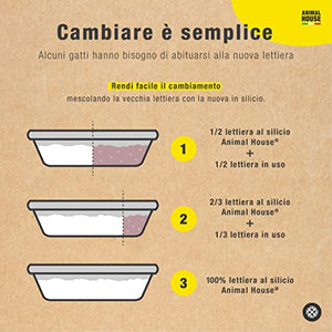 Animal House Toilet Time - Lettiera in Cristalli di Silicio per Gatti - Antistatica e Sicura - Priva di Polvere - Ultra Assorbente - Trattiene gli Odori (Neutro, 5L)