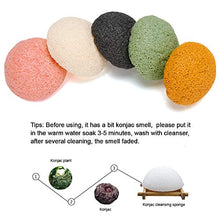 Carica l&#39;immagine nel visualizzatore di Gallery, Konjac Spugna, 5 Pezzi Miss Gorgeous Spugna Viso e Corpo con Tè Verde, 100%... - Ilgrandebazar