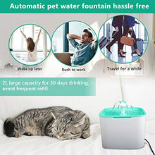 Carica l&#39;immagine nel visualizzatore di Gallery, Gifort Fontana di Acqua per Animali Domestici, Fontanella d&#39;Acqua Gatti...