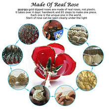 Carica l&#39;immagine nel visualizzatore di Gallery, FUNINGEEK 24k Rosa Placcato Oro con Scatola Regalo e Supporto, Rosso