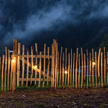 Carica l'immagine nel visualizzatore di Gallery, Zorela Catena Luminosa Esterno, 9.5M/30Ft G40 Luci da Esterno Giardino con 25+2 G40 LED Lampadine Infrangibile, Catena Luci Esterno Impermeabile IP44 per Natale, Giardino, Gazebo, Feste, Matrimonio