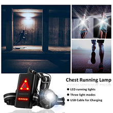 Carica l&#39;immagine nel visualizzatore di Gallery, Running Light Ricaricabile USB, SGODDE Luce Corsa 2 Modi 500 LM Impermeabile...
