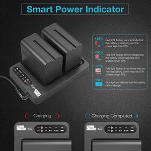 NP-F970 - Batteria e caricabatterie (doppio canale 30w Quick Charger), Pixel...