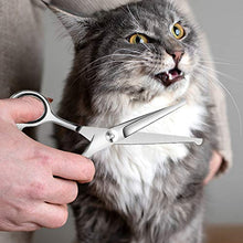 Carica l&#39;immagine nel visualizzatore di Gallery, WOMGF Forbici Toelettatura per Cani Gatti Professionali Set per...