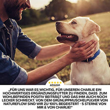 Carica l&#39;immagine nel visualizzatore di Gallery, Polvere di cozze dalle Labbra Verdi per Cani 500g - Sostiene Le funzioni...