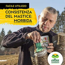Carica l'immagine nel visualizzatore di Gallery, 1