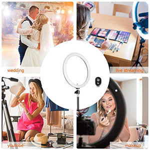 ICETEK - Luce ad anello con treppiede, 10 pollici, 3 colori di luce e 11...
