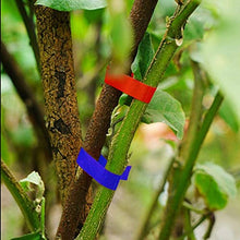 Carica l&#39;immagine nel visualizzatore di Gallery, Legatrice per Piante, Attrezzi Orto Pinza Legatrice,Tying Macchina Strumento Nastro a Mano per Legare Pomodori UVA Fiori Verdura Vigneto, Attrezzo a da Giardino