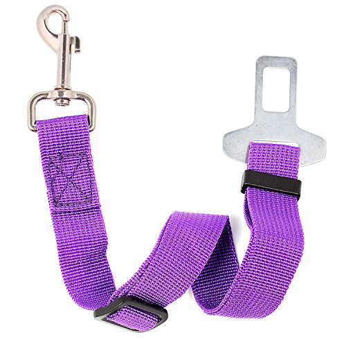 Neuftech Cane Cintura Di Sicurezza Auto Regolabile per Cani Guinzaglio purple