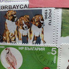 Carica l&#39;immagine nel visualizzatore di Gallery, Dogs of the World-Timbro, collezione, Souvenir con animali, cane... - Ilgrandebazar