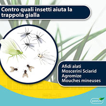 Carica l&#39;immagine nel visualizzatore di Gallery, pest24 Insetticida moscerini Piante Interno Adesivi Gialli 10 Trappole - Carta moschicida - Moscerini Trappola casa - Anti cimici - Moscerini in casa