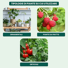 Carica l'immagine nel visualizzatore di Gallery, Il Paese Verde Drin Ferro Chelato 200g - Ferro Chelato Per Piante Contro Ingiallimenti Dovuti Alla Clorosi Ferrica. Ferro Chelato Microgranulare Consentito In Agricoltura Biologica.